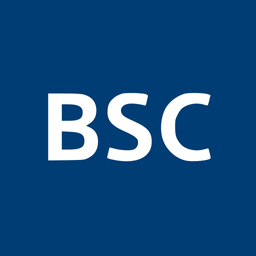 BSX