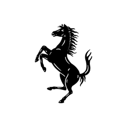 RACE